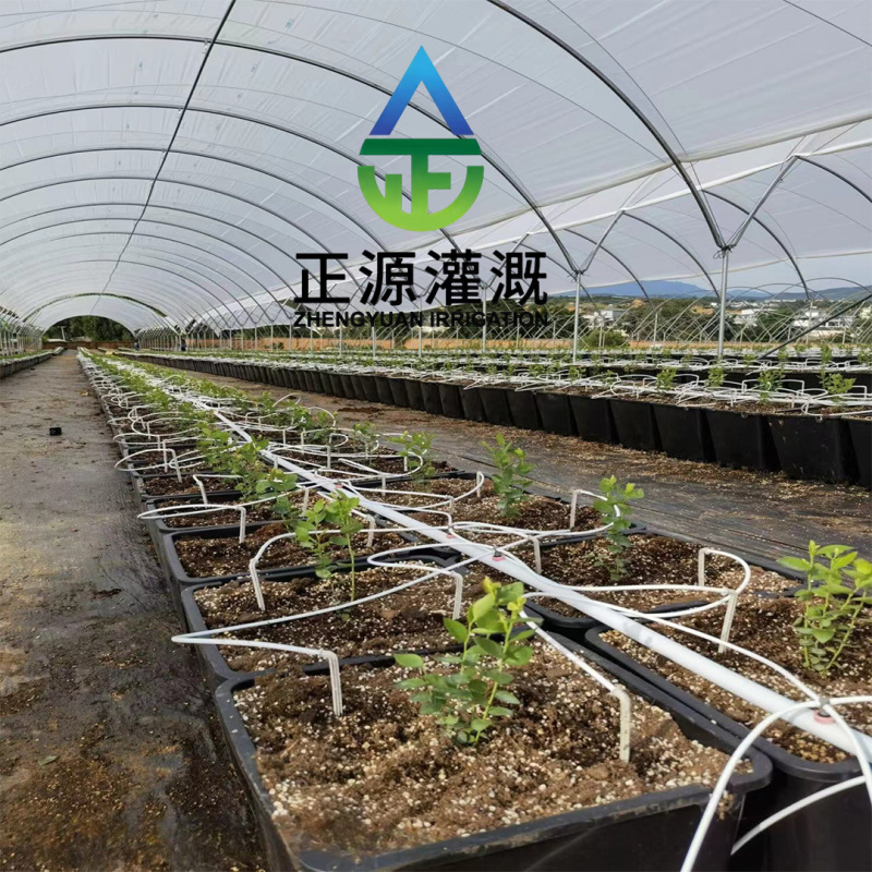 正品滴蓝莓专用滴箭大棚盆栽自动灌溉滴头一件代发
