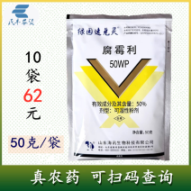 海讯速兑灵50%腐霉利粉剂韭菜灰霉病专用杀菌剂农用农药绿