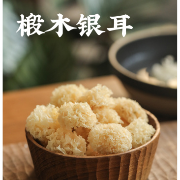 精选椴木小银耳质量保证价格实惠诚信经营欢迎咨询
