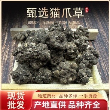 云南猫爪草中药材500g批发药材新货猫爪草煲汤