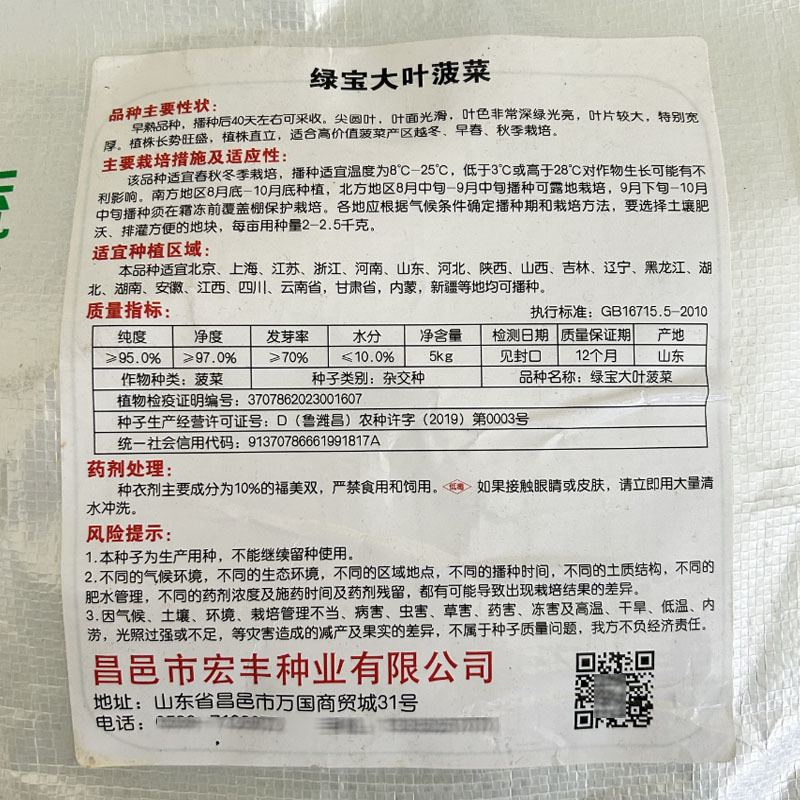 绿宝大叶菠菜种子杂交一代生长快尖圆叶产量高基地品种
