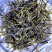 炒青绿茶正宗广西特产浓香型新茶大叶种绿茶250g袋装