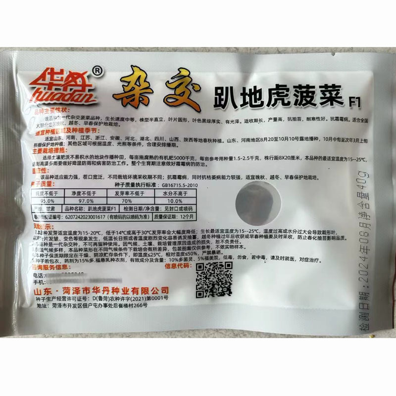 圆叶趴地菠菜种子杂交耐寒深绿厚实产量高耐抽薹