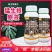爆根原液强力生根壮苗剂移栽扦插果树花卉绿萝专用促生根壮根
