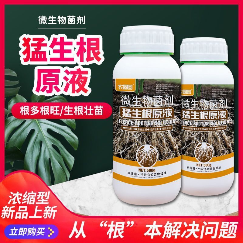 爆根原液强力生根壮苗剂移栽扦插果树花卉绿萝专用促生根壮根