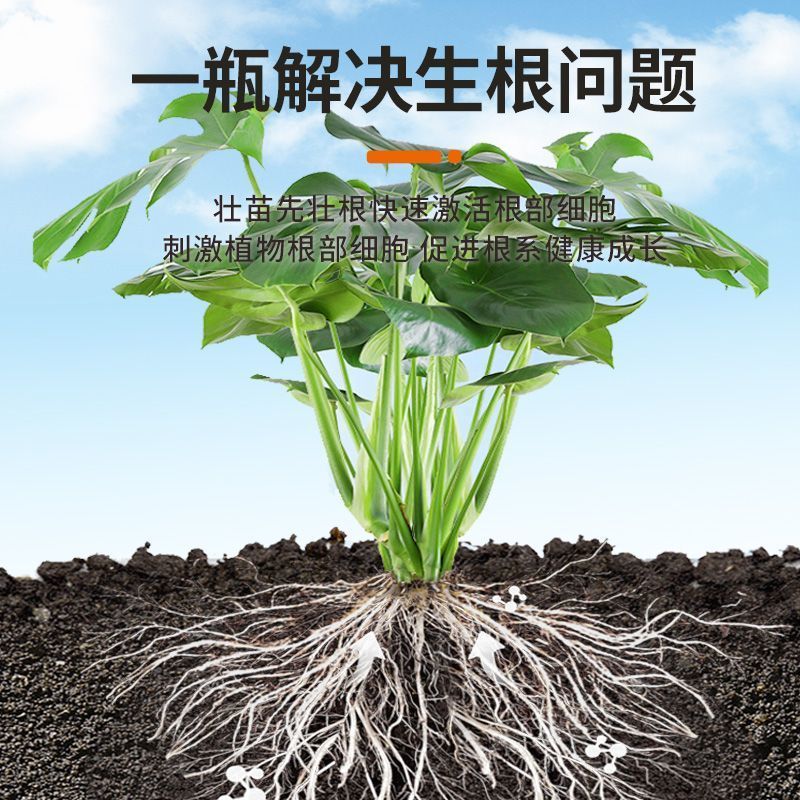 爆根原液强力生根壮苗剂移栽扦插果树花卉绿萝专用促生根壮根