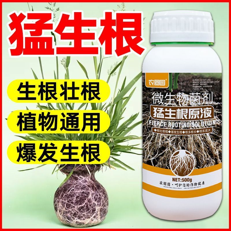 爆根原液强力生根壮苗剂移栽扦插果树花卉绿萝专用促生根壮根