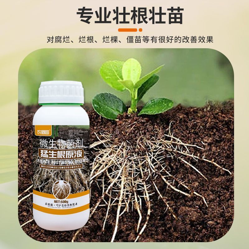 爆根原液强力生根壮苗剂移栽扦插果树花卉绿萝专用促生根壮根