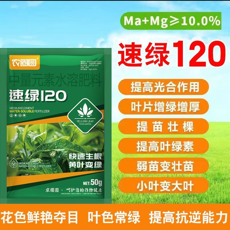 速绿120叶绿素氨基酸叶面肥提苗壮棵增绿增厚水溶肥料