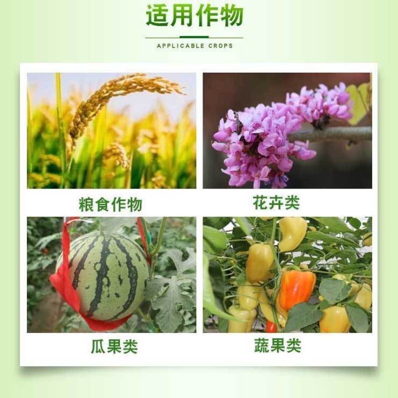 速绿120叶绿素氨基酸叶面肥提苗壮棵增绿增厚水溶肥料