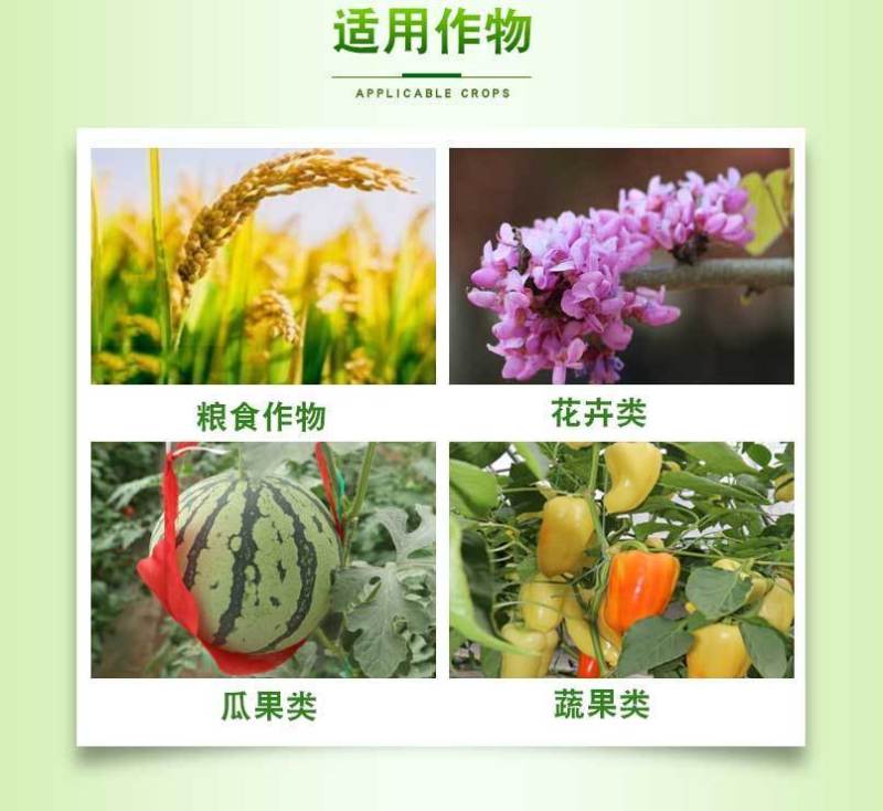 速绿120叶绿素氨基酸叶面肥提苗壮棵增绿增厚水溶肥料