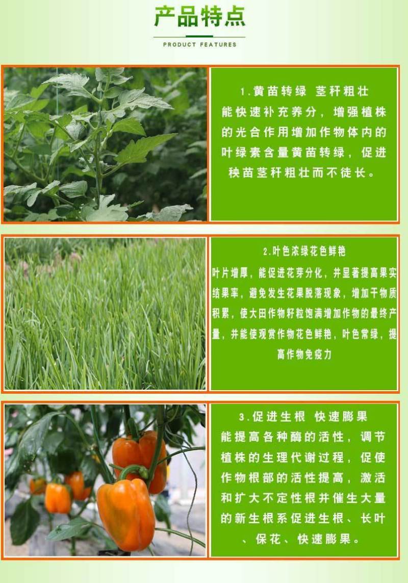 速绿120叶绿素氨基酸叶面肥提苗壮棵增绿增厚水溶肥料
