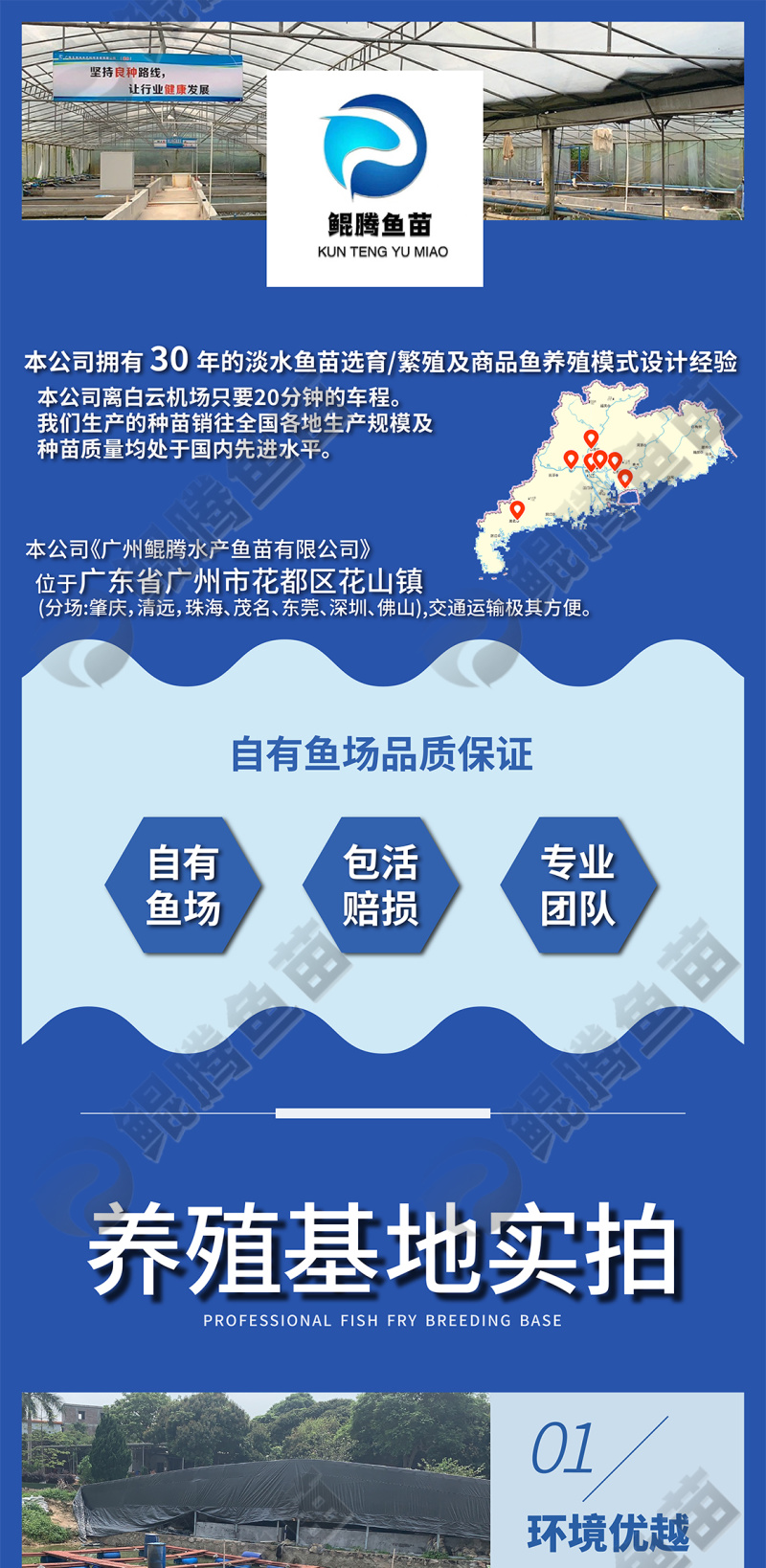 鲈鱼苗，加州鲈鱼苗，凶猛冷水鱼，淡水养殖，技术跟踪