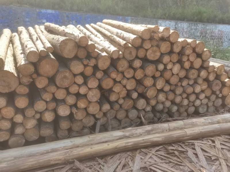 湖南香杉木精品木材产地货源无中间商保质保量全国发货
