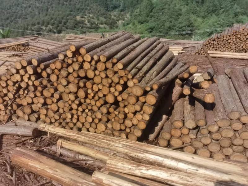 湖南香杉木精品木材产地货源无中间商保质保量全国发货