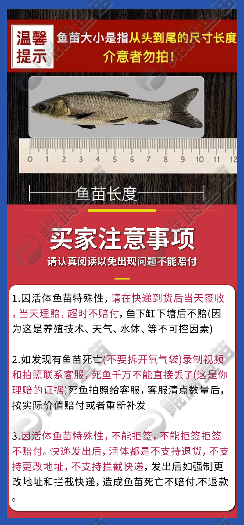 鲲腾优选加州鲈鱼苗优选苗种全国供应技术支持