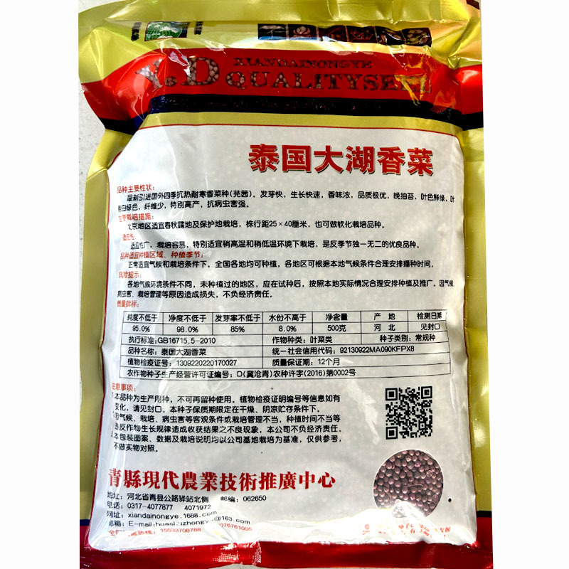 香菜种子泰国大湖香菜芫荽籽抗抽苔香味浓抗寒耐热