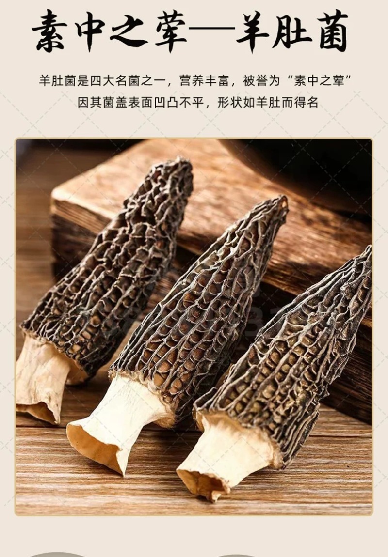 金菇朵朵云南山珍菌汤包八珍菌菇煲云南厂家直供