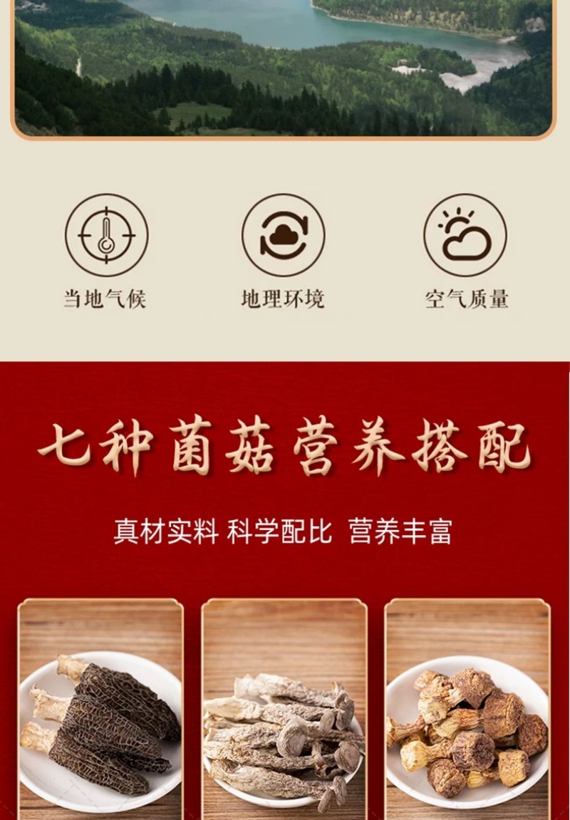 金菇朵朵云南山珍菌汤包八珍菌菇煲云南厂家直供