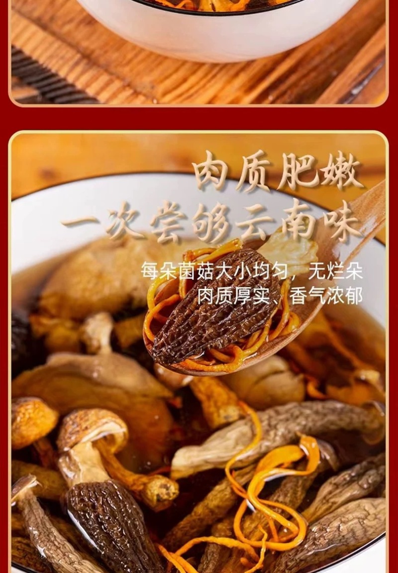 金菇朵朵云南山珍菌汤包八珍菌菇煲云南厂家直供