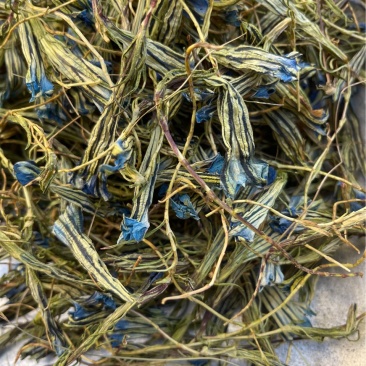 蒙藏药材龙胆花西藏特产玉美人金蓝茵中药材批发