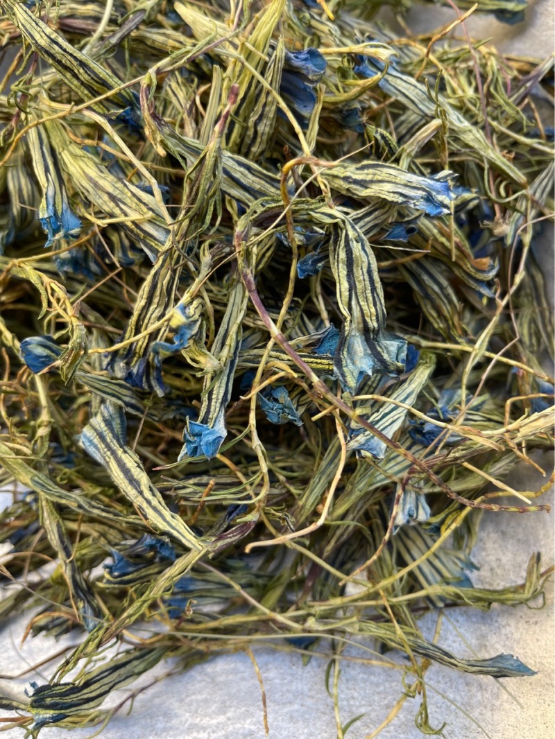 蒙藏药材龙胆花西藏特产玉美人金蓝茵中药材批发
