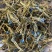 蒙藏药材龙胆花西藏特产玉美人金蓝茵中药材批发