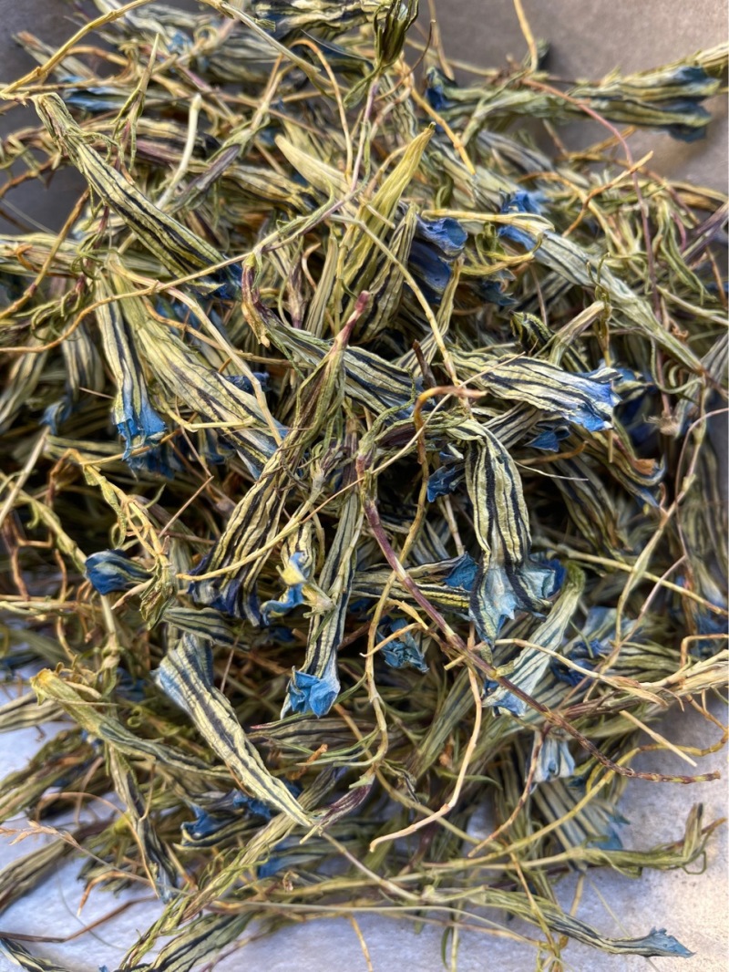 蒙藏药材龙胆花西藏特产玉美人金蓝茵中药材批发