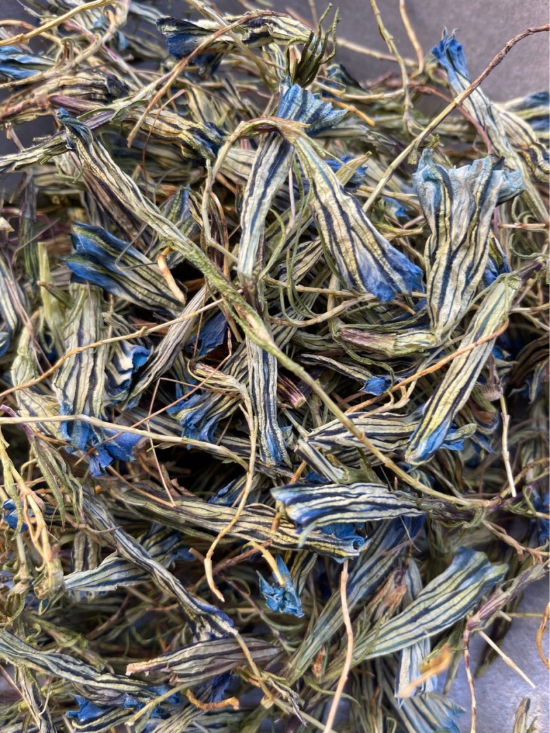 蒙藏药材龙胆花西藏特产玉美人金蓝茵中药材批发