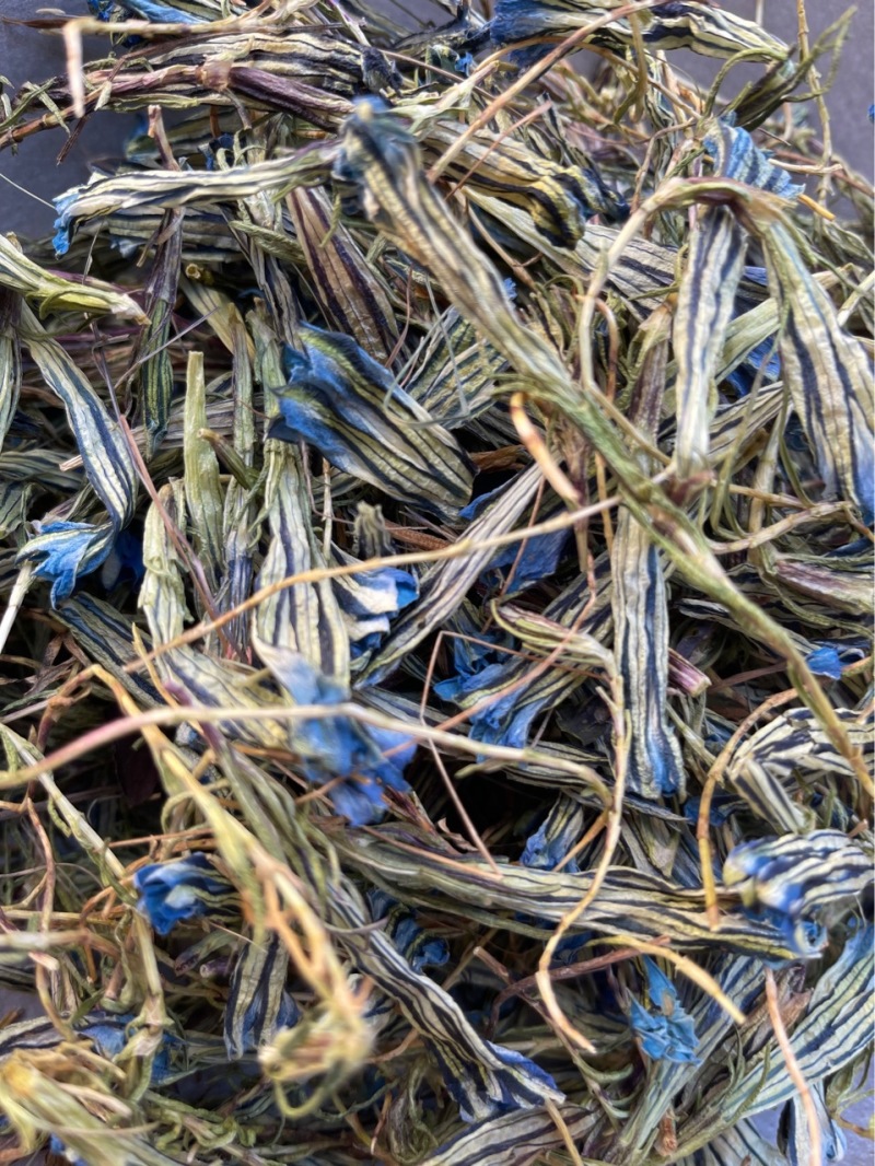 蒙藏药材龙胆花西藏特产玉美人金蓝茵中药材批发