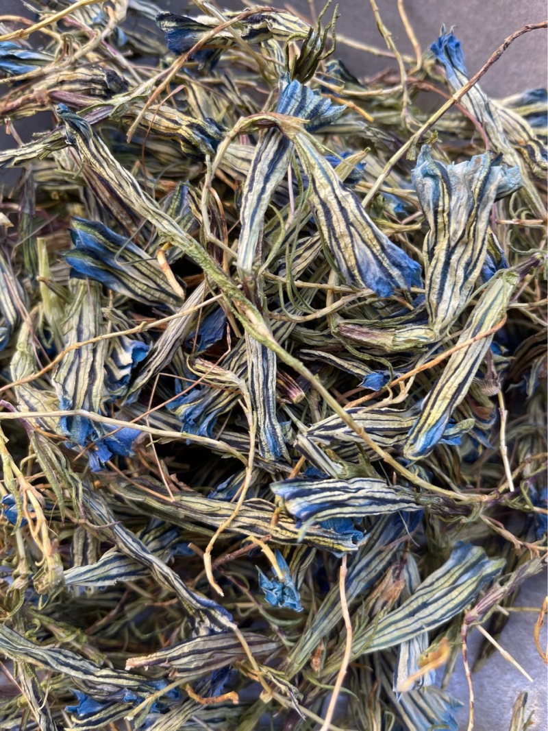 蒙藏药材龙胆花西藏特产玉美人金蓝茵中药材批发