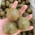 【罗汉果】中药材批发中果散装泡茶广西特产肉多扎实