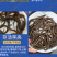 正大九号黄鳝苗鲲腾鱼苗好鱼苗鲲腾出产地直销百万现货
