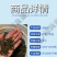 优选泥鳅苗好鱼苗鲲腾出产地直发全国供应技术支持
