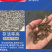 优质泥鳅苗好鱼苗鲲腾出产地直销全国供应技术支持