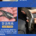 优质鲲腾黑鱼苗乌鱼苗产地直销全国供应技术指导