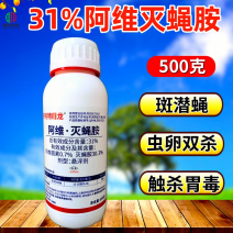 31%阿维灭蝇胺斑潜蝇鬼画符果实蝇杀虫剂