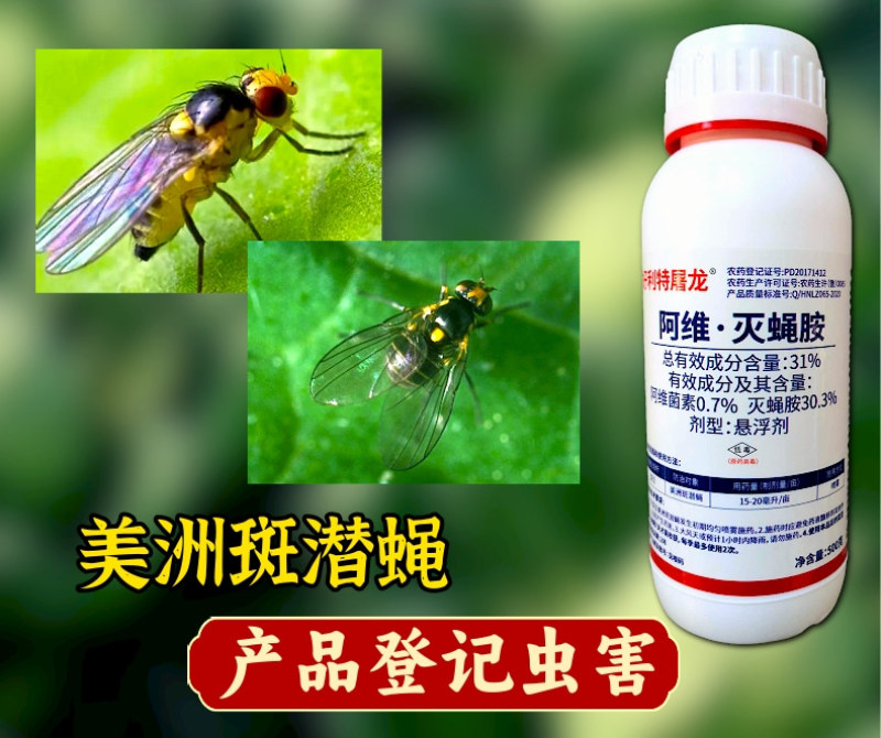 31%阿维灭蝇胺斑潜蝇鬼画符果实蝇杀虫剂