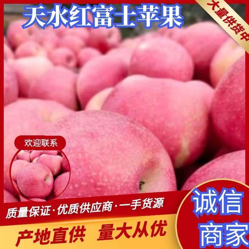 天水市麦积区红富士苹果视频看货保质保量欢迎采购联系