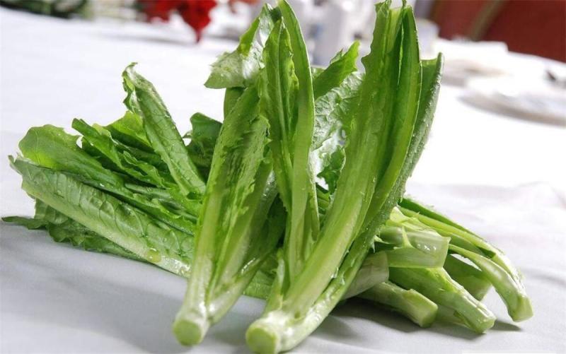 油麦菜货源充足稳定供货欢迎长期合作