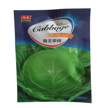 甘蓝种子鲁王早绿早熟春甘蓝种子大头包菜圆球形