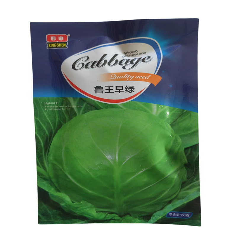 甘蓝种子鲁王早绿早熟春甘蓝种子大头包菜圆球形