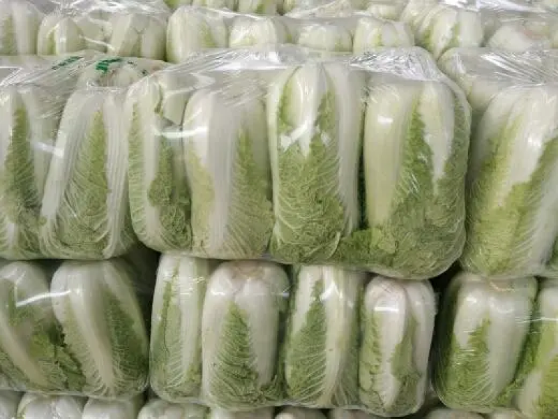 新疆昌吉万亩黄心白菜，大量出售，批发超市，市场批发