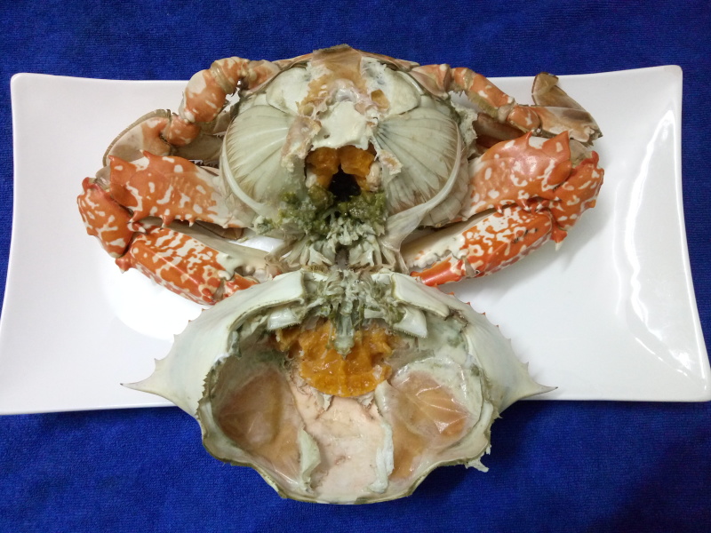 冻蓝蟹.（实力工厂）产地直销货源充足欢迎选购