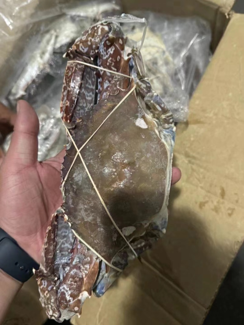 冻蓝蟹.（实力工厂）产地直销货源充足欢迎选购