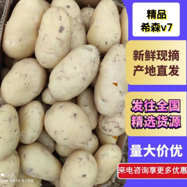 内蒙精品v7沃土等品种齐全供应各大市场电商商超
