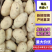 内蒙精品v7沃土等品种齐全供应各大市场电商商超