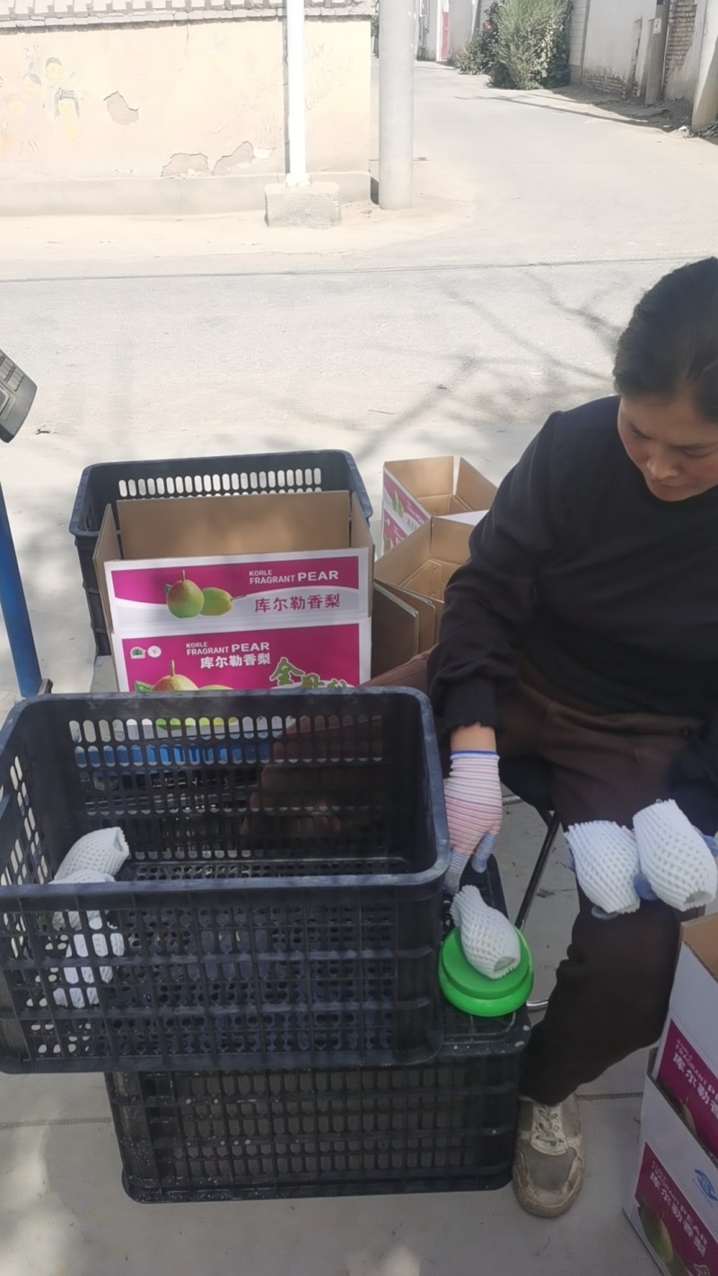 新疆库尔勒香梨直发全国包邮品质保障自家果园