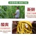 酸豆角泡前新鲜泡后美味鲜豆角腌制支持视频看货