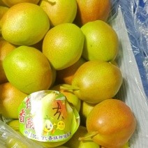 山西龙居镇红香酥梨龙居酥梨脆甜可口核小无渣视频看货